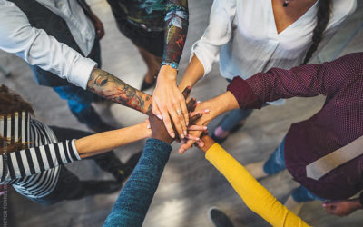 tran·si·tion: a movement, development, or evolution from one stage, to another