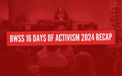 16 Days of Activism 2024 Recap