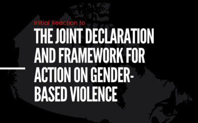 Initial Reaction to the Joint Declaration and Framework for Action on Gender-Based Violence