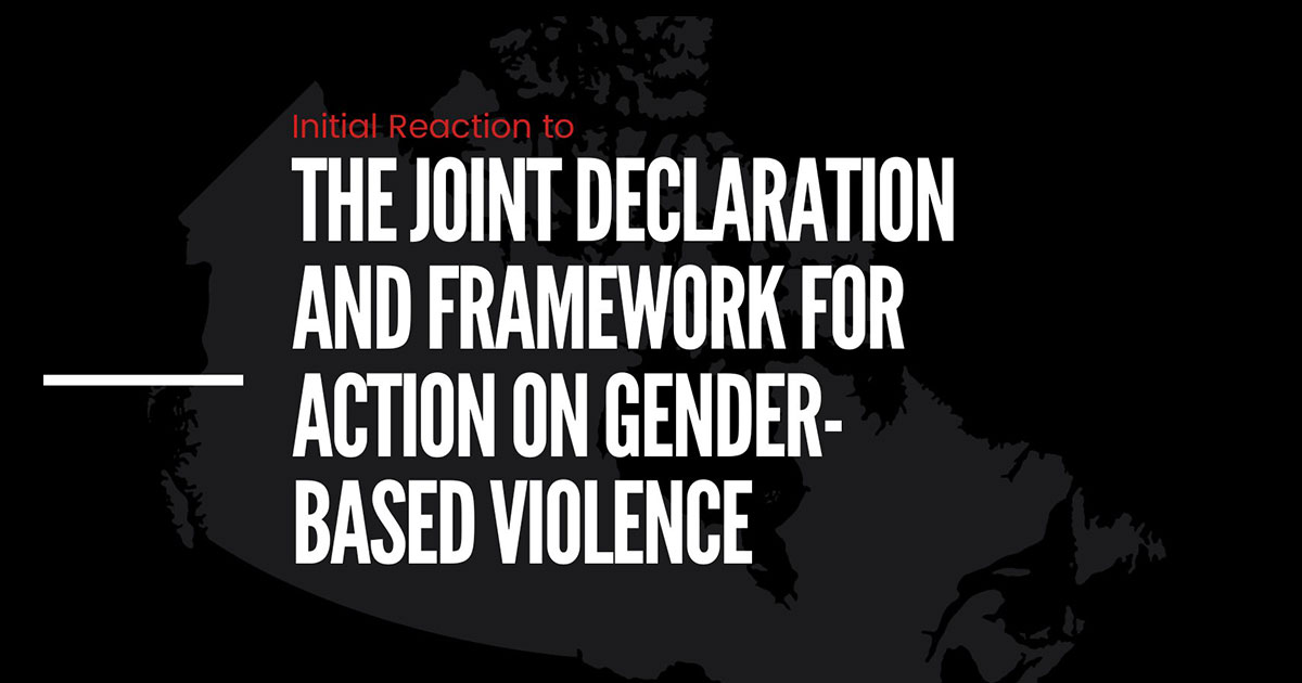 Initial Reaction to the Joint Declaration and Framework for Action on Gender-Based Violence