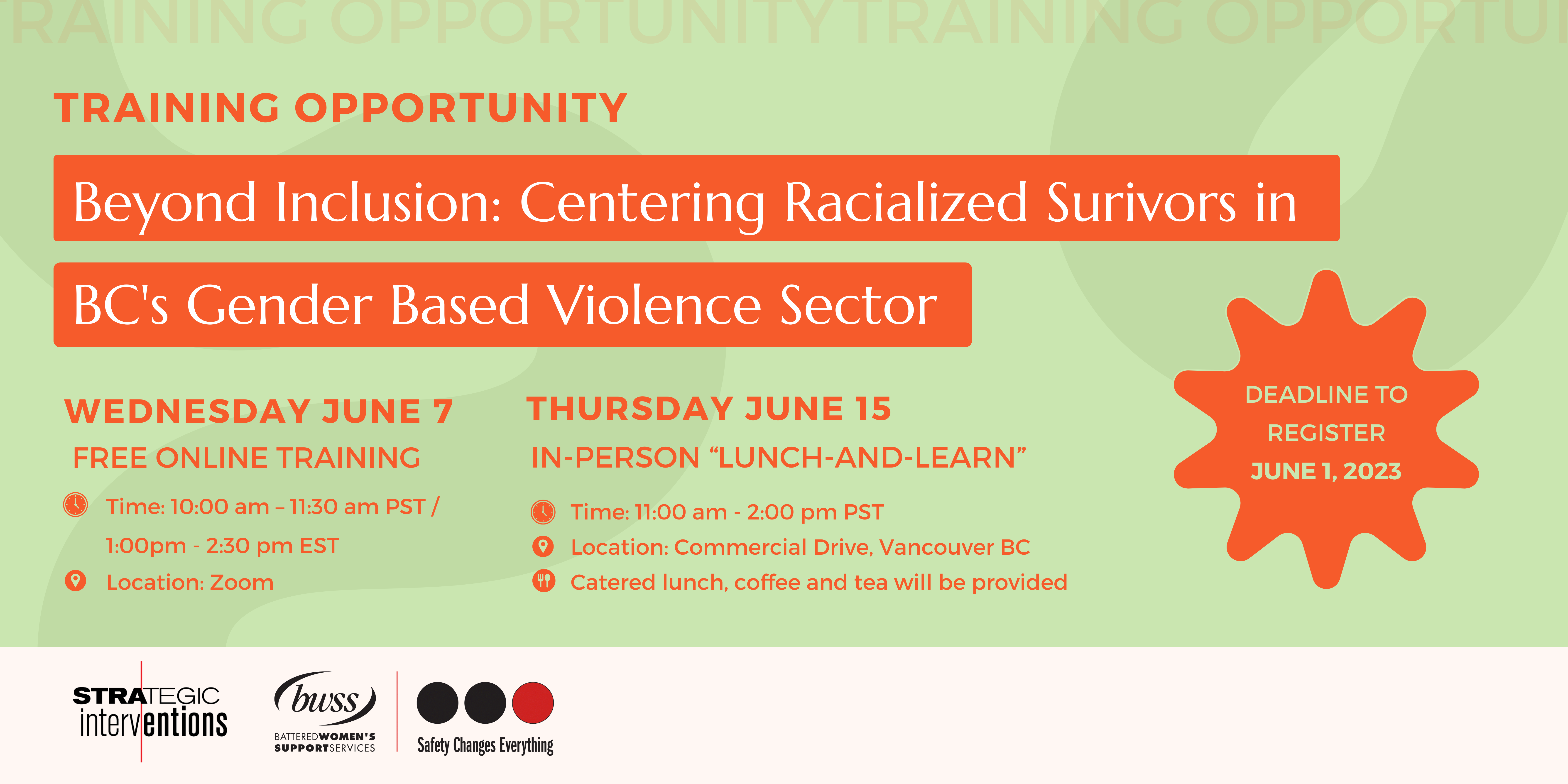 Banner - Beyond Inclusion Centring Racialized Surivors in BC's Gender Based Violence Sector
