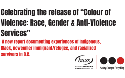 Celebrating the release of “Colour of Violence: Race, Gender & Anti-Violence Services”