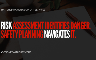 Risk Assessment Identifies Danger. Safety Planning Navigates It.