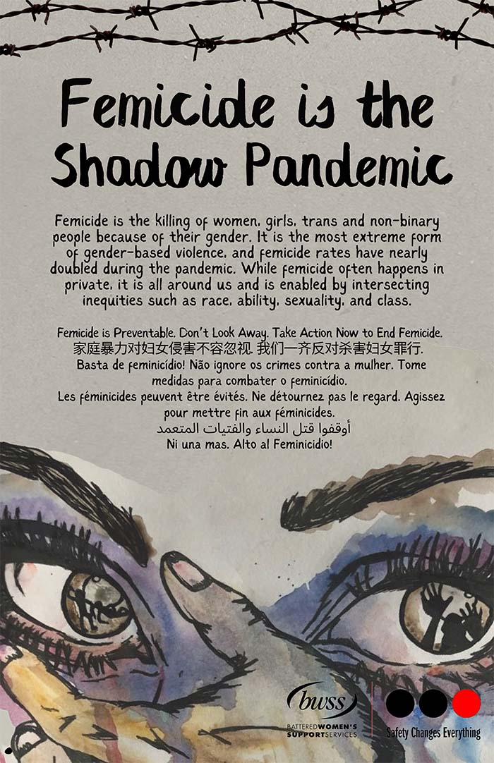 Femicide is the Shadow Pandemic  PDF
