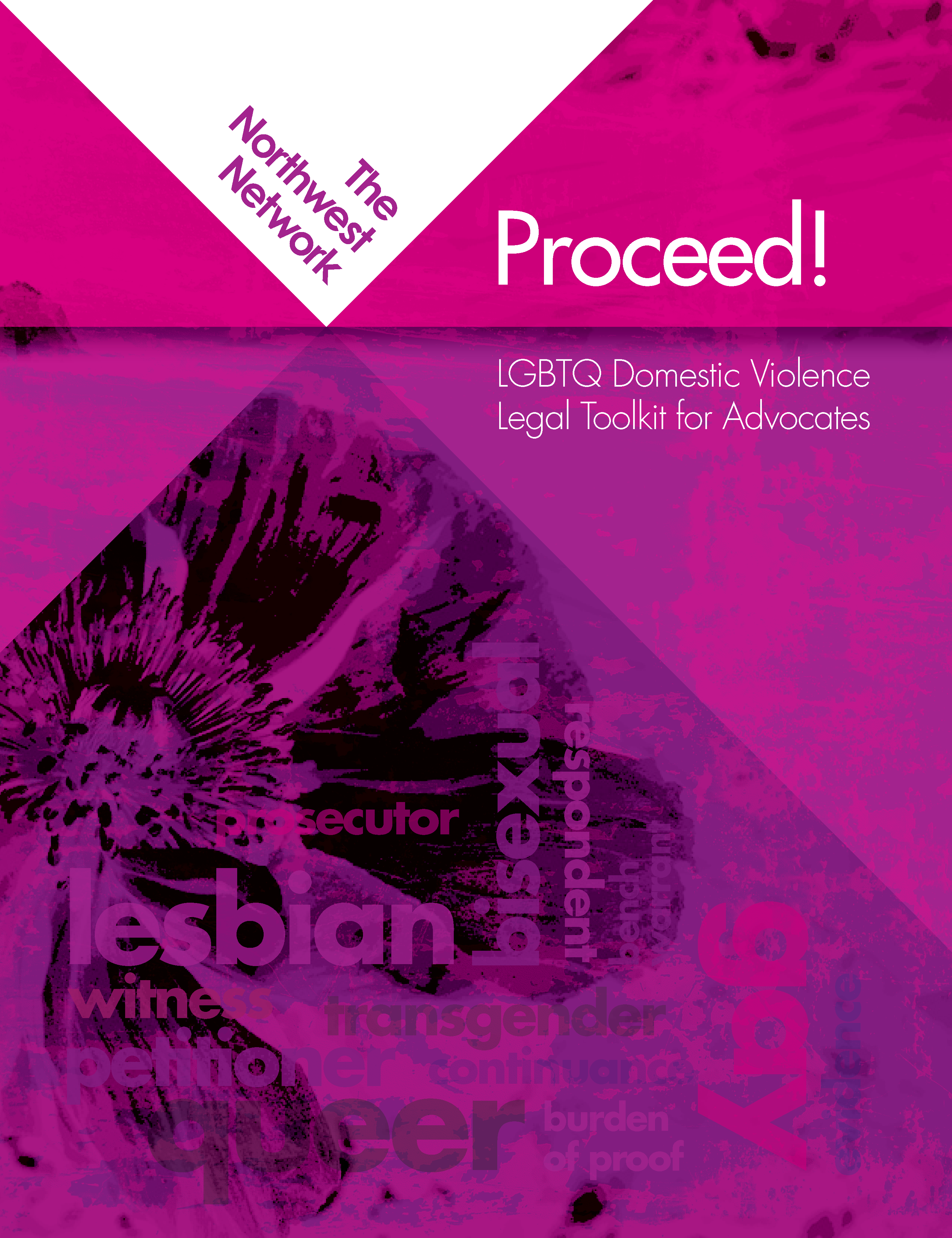 LGBTQ2S domestic violence toolkit for advocates 