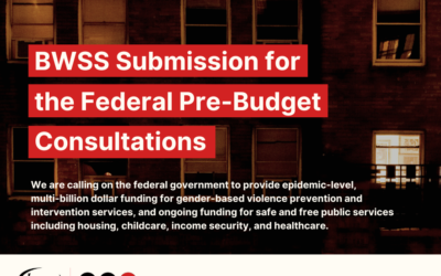BWSS Submission to Federal Government Pre-Budget Consultation