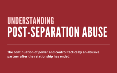Understanding Post-Separation Abuse