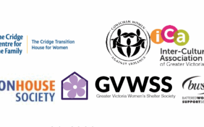 Women are dying while risk is known anti-violence organizations call for public safety action on intimate partner violence