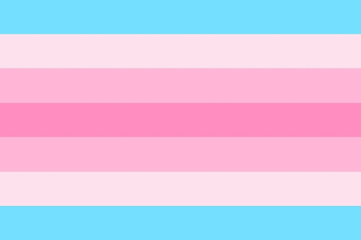 Transfeminine flag by Pride-Flags on DeviantArt