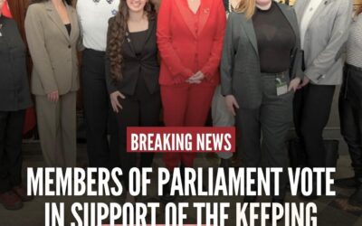 Family Court Reform Is Public Safety Work: What Bill C-223 Means for Survivors