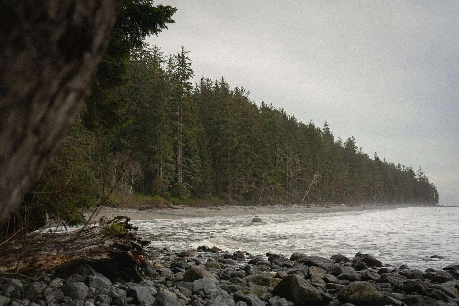 A misty British Columbia coastline where forest meets a rocky beach and the ocean