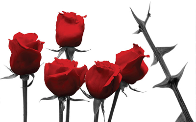 We’re Gearing Up For A Great November