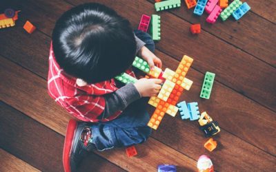 BWSS Holiday Hamper Program ~ Sponsor A Holiday Wish List