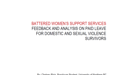 Recommendations, Feedback  and Analysis on Paid Leave for Survivors