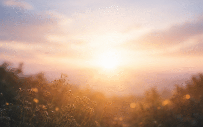 Holding the Tumbler Ridge Community in Care